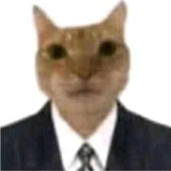 TT喵