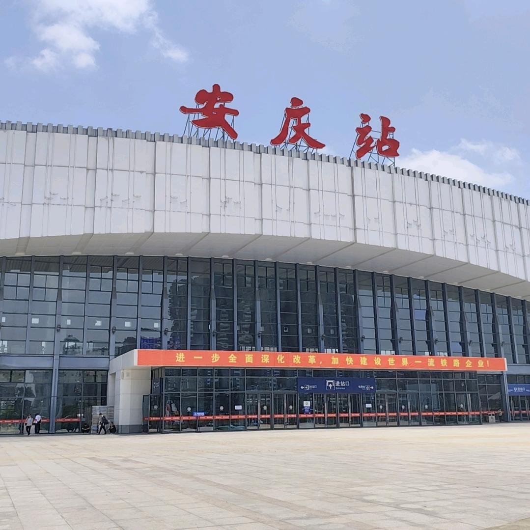 强哥来了