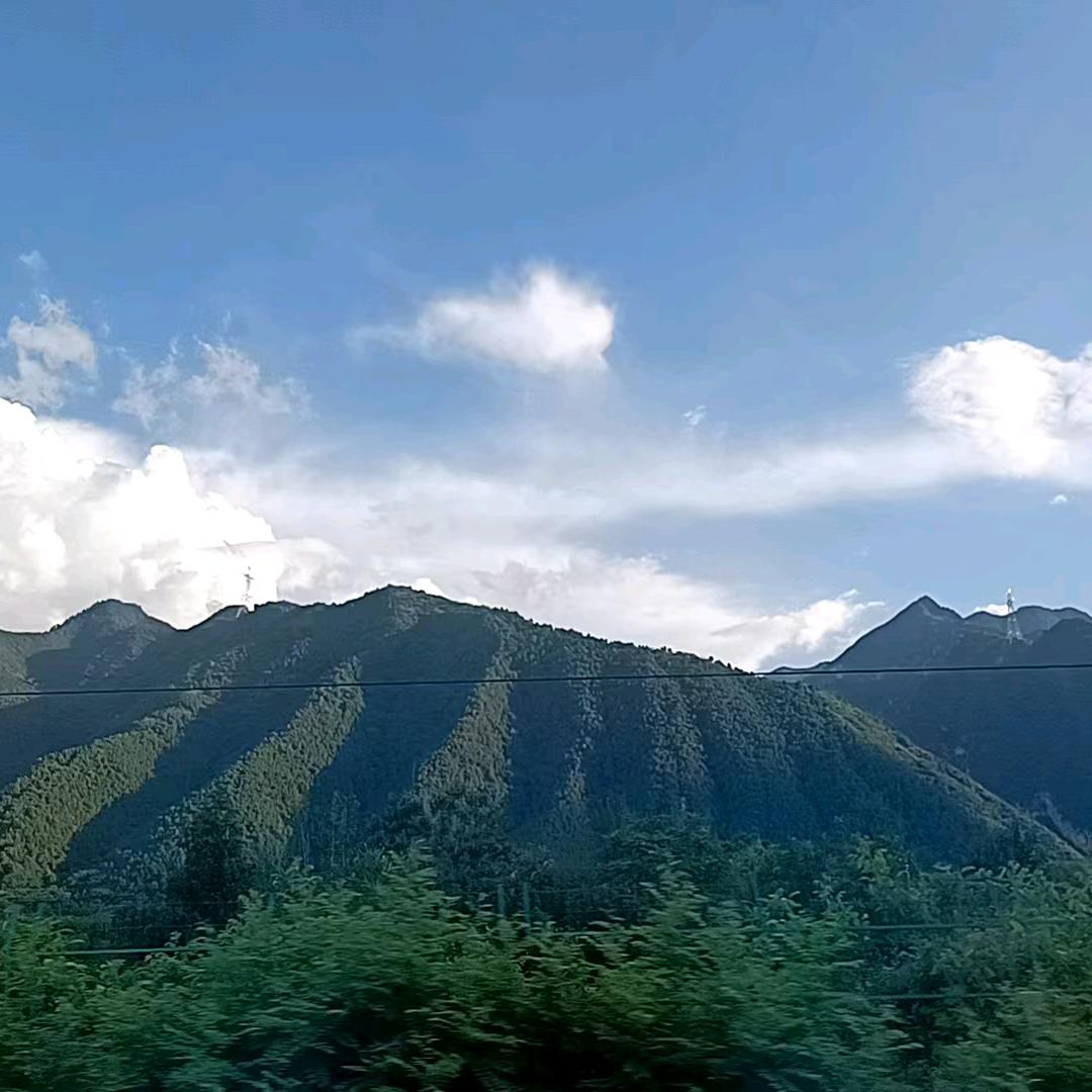 布丁
