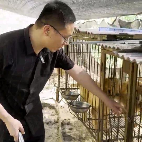 阿康说狗