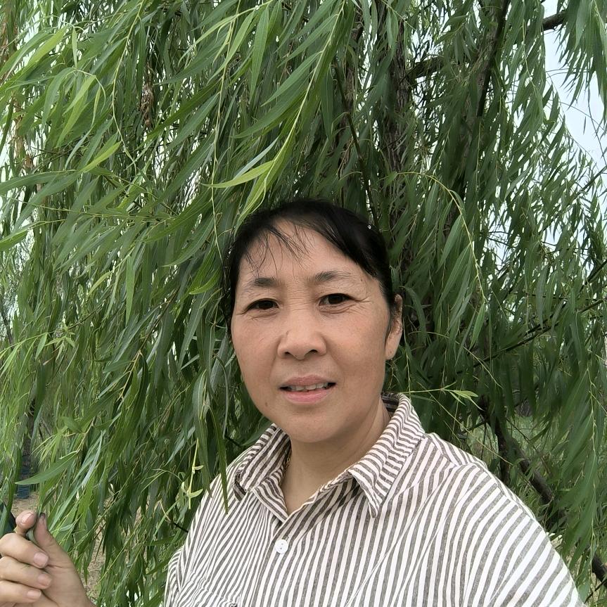 奇思妙想111