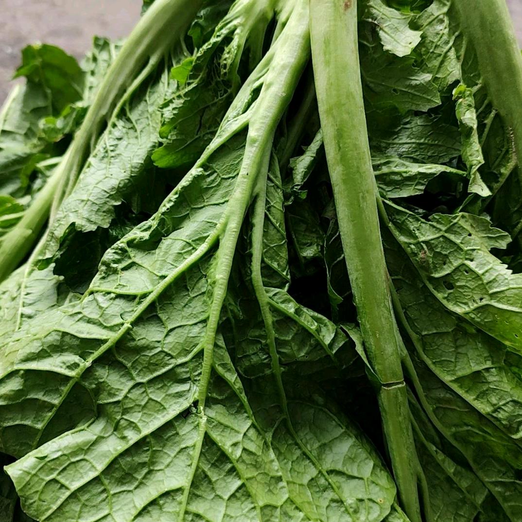 真心换不了真心