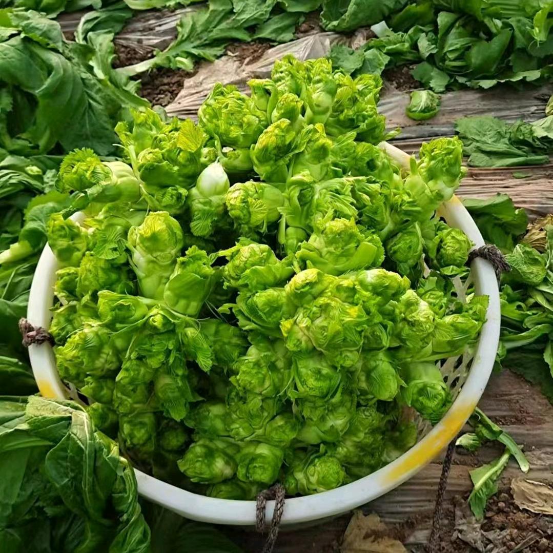 乐至县名叶源食品店