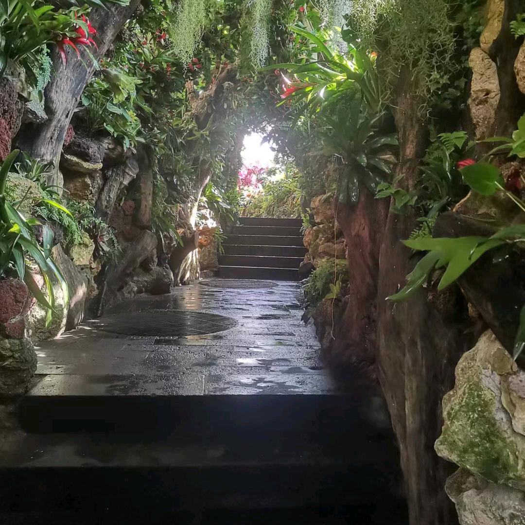 拼搏