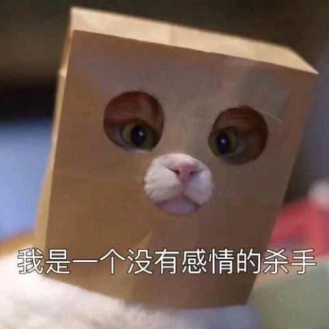 枝㼜头像