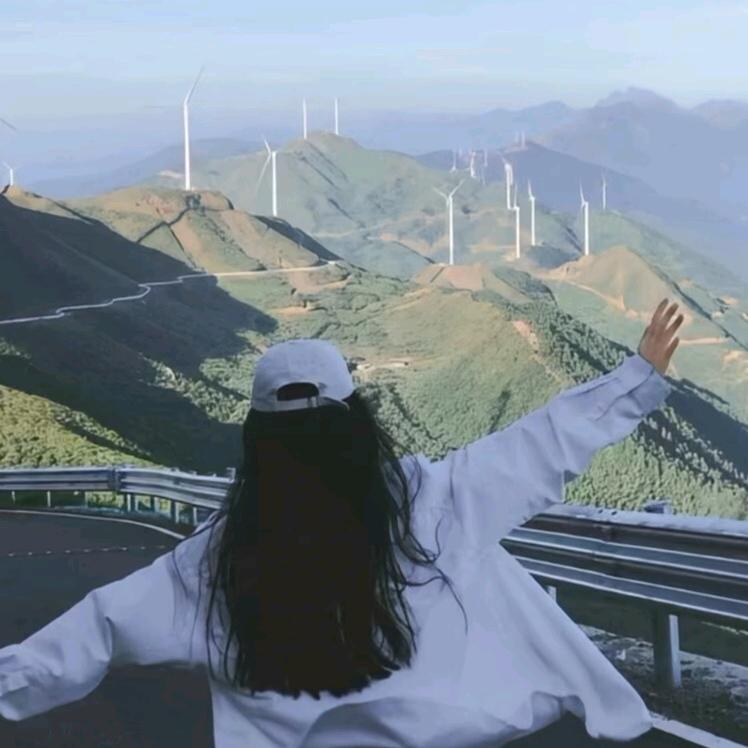 随风而上