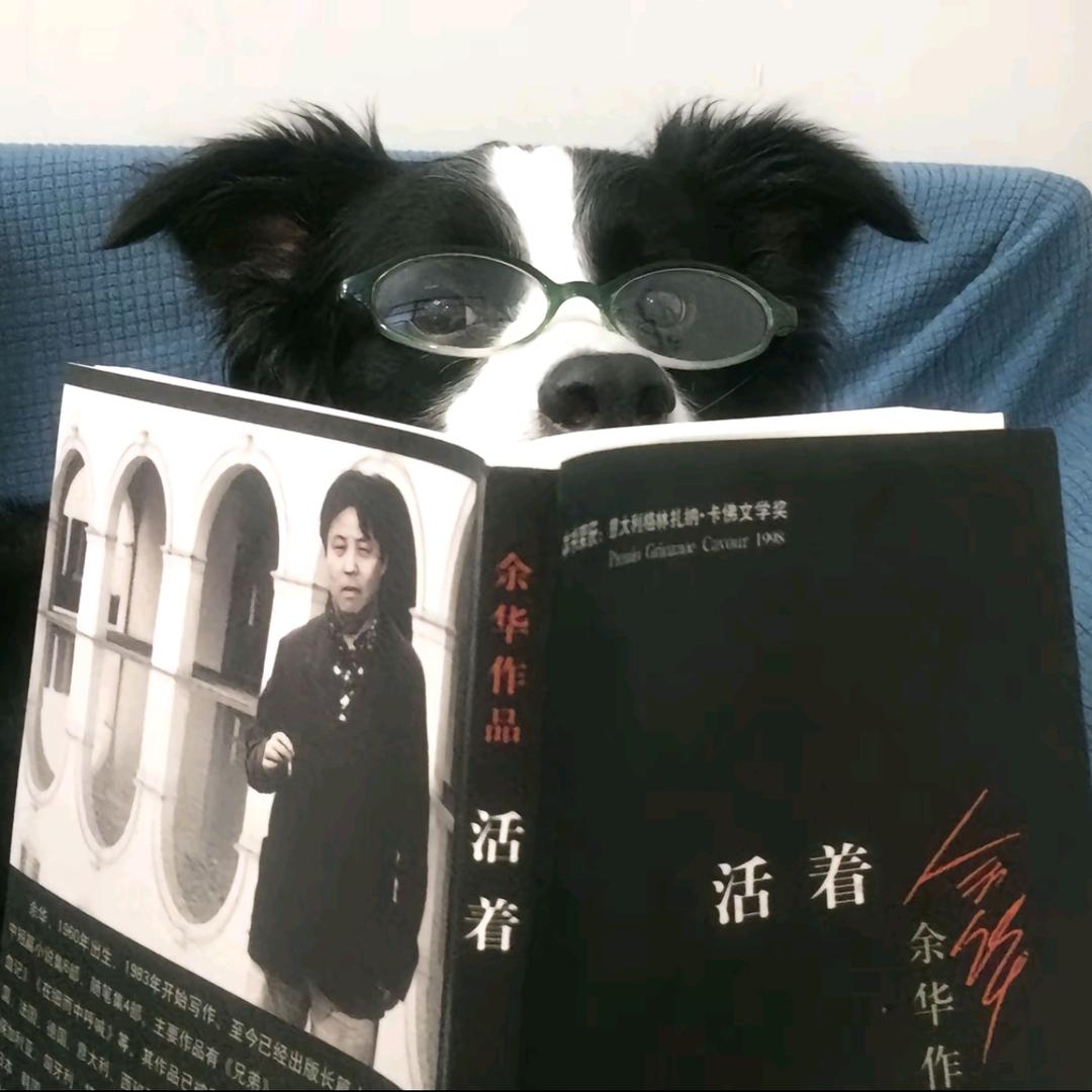 简克