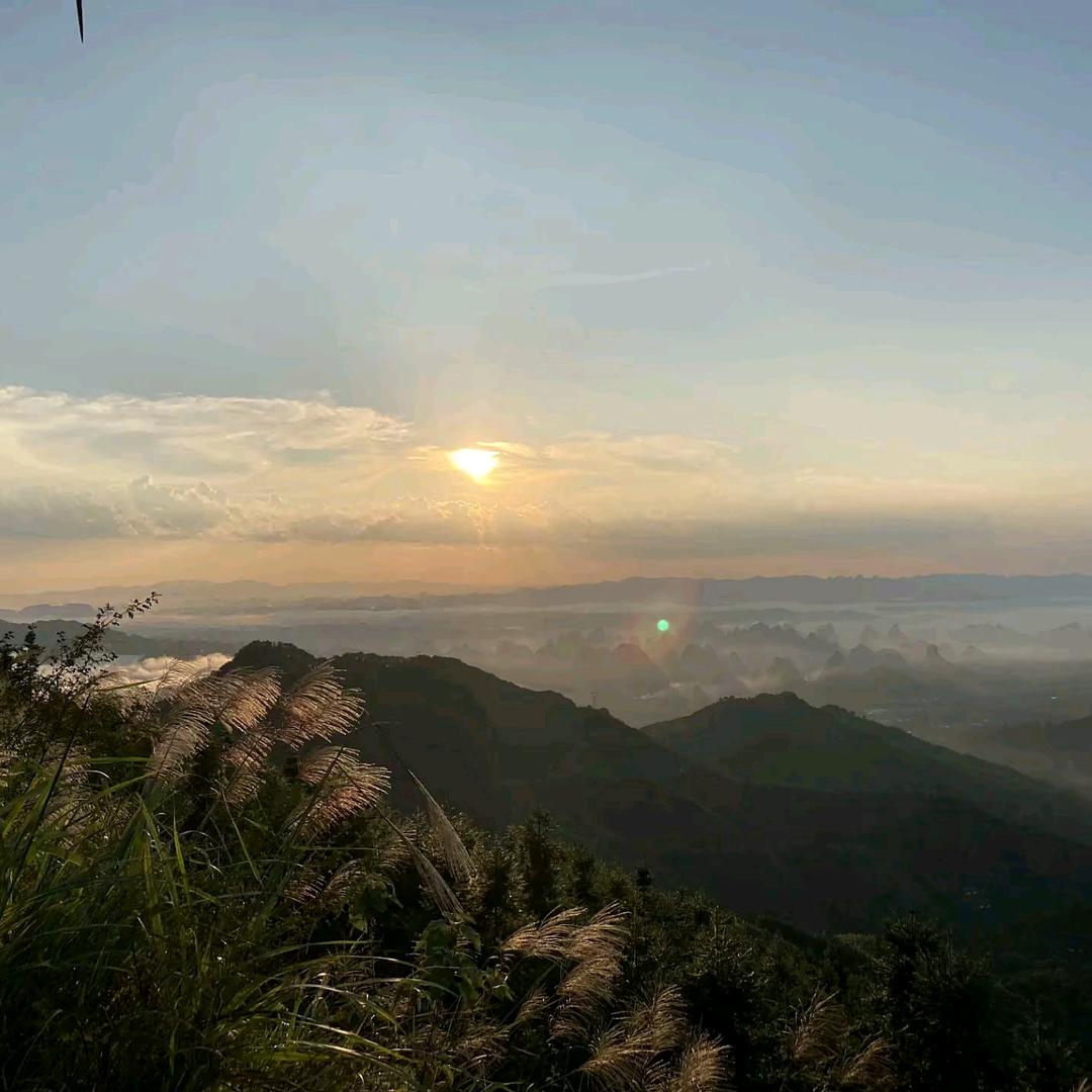 静听松风寒