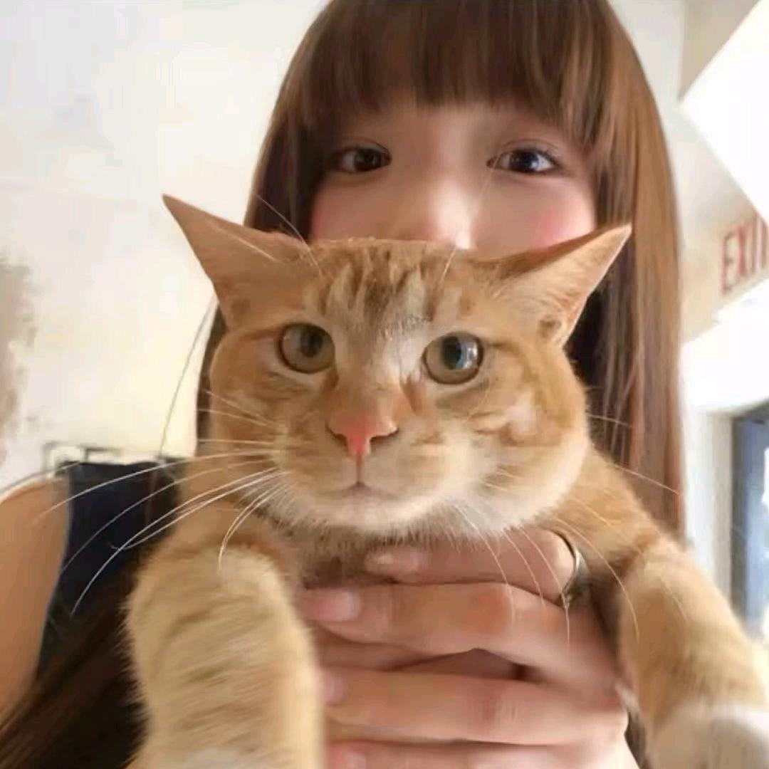 乌索畏ㅤㅤㅤ