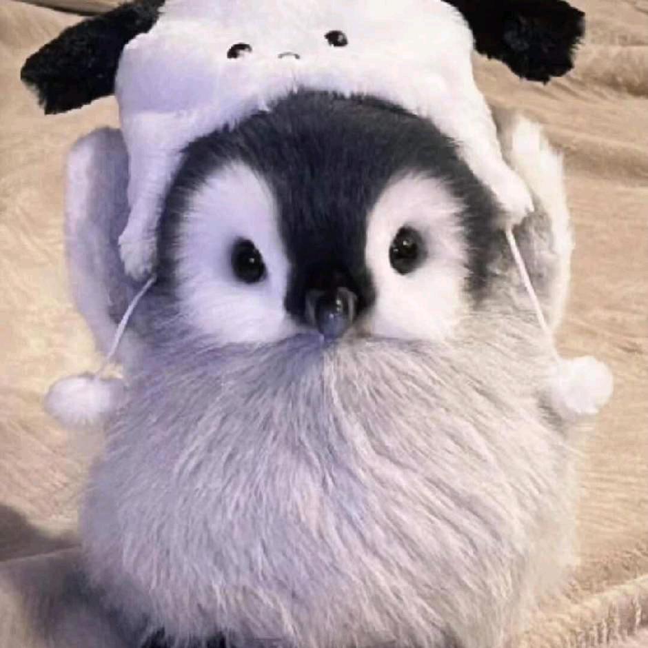 乞力马扎罗山AQI