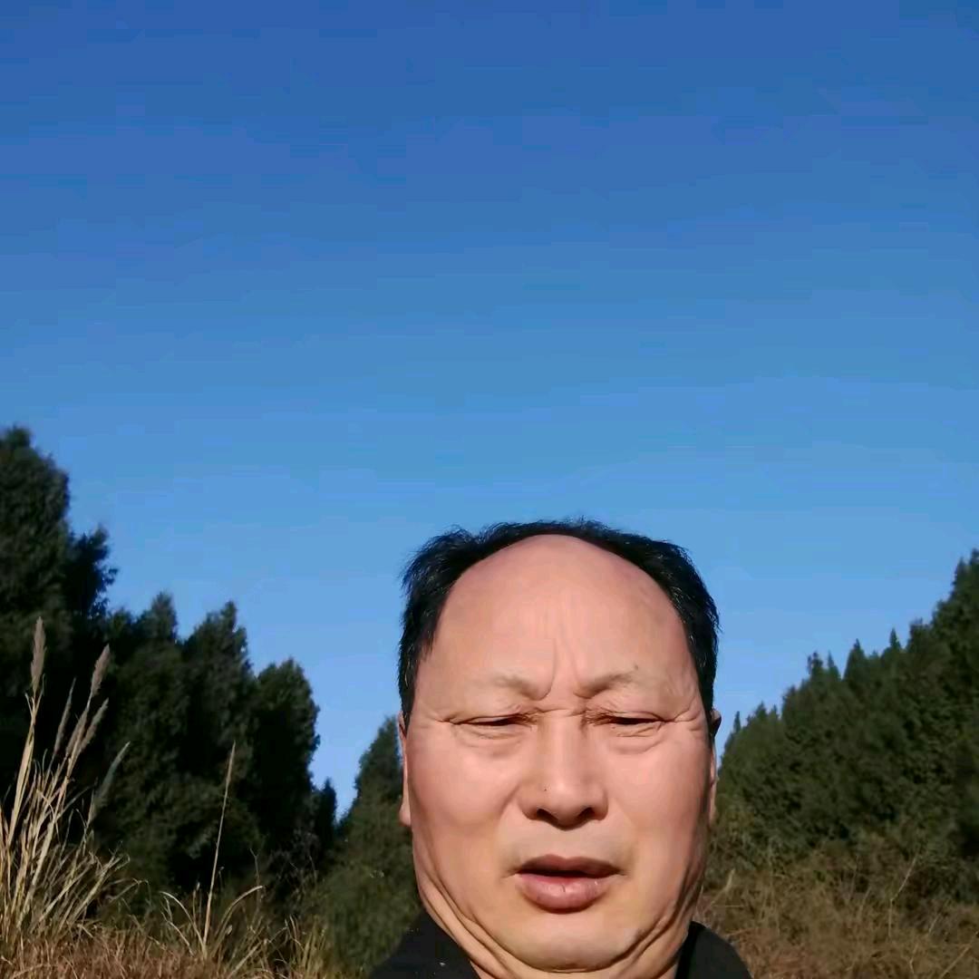 胡师装修
