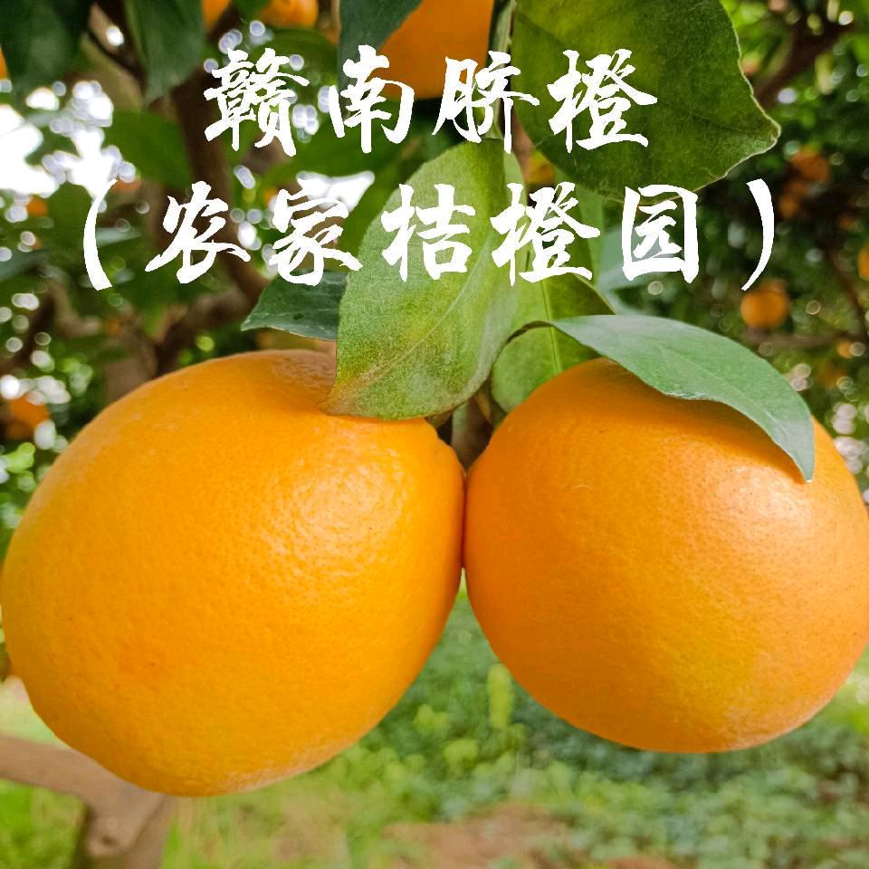 农家桔橙园