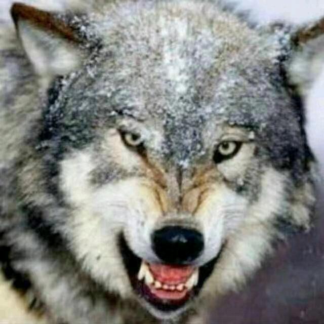 一吻👄段👄魂