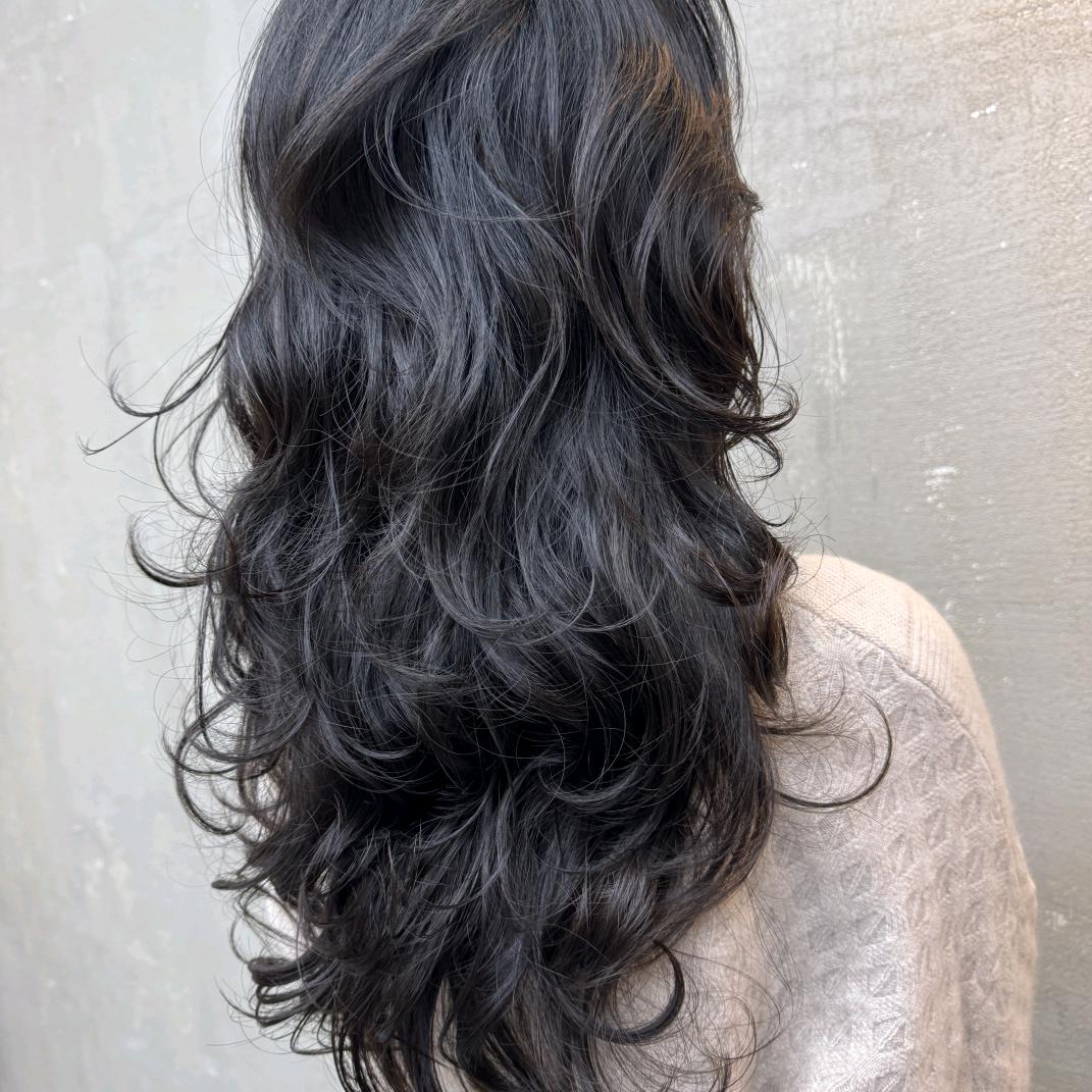 淮口肖勋烫发美学（小号）