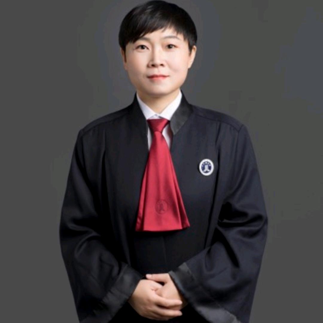 执行律师田白洁（京津冀）