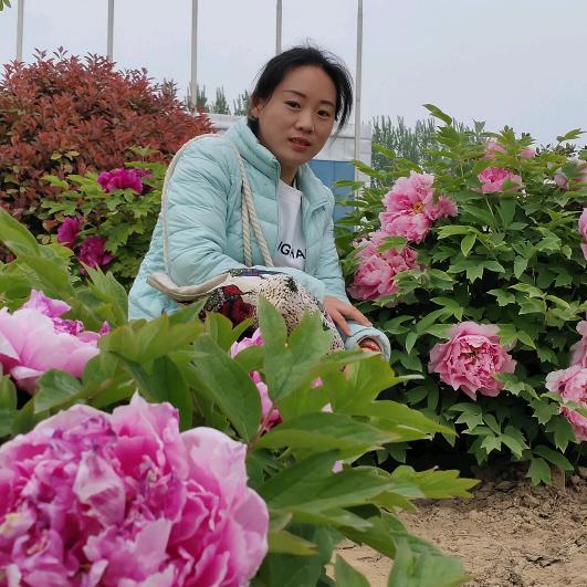🌺૭*᭄清风🌹暖阳💖ঌ᭄