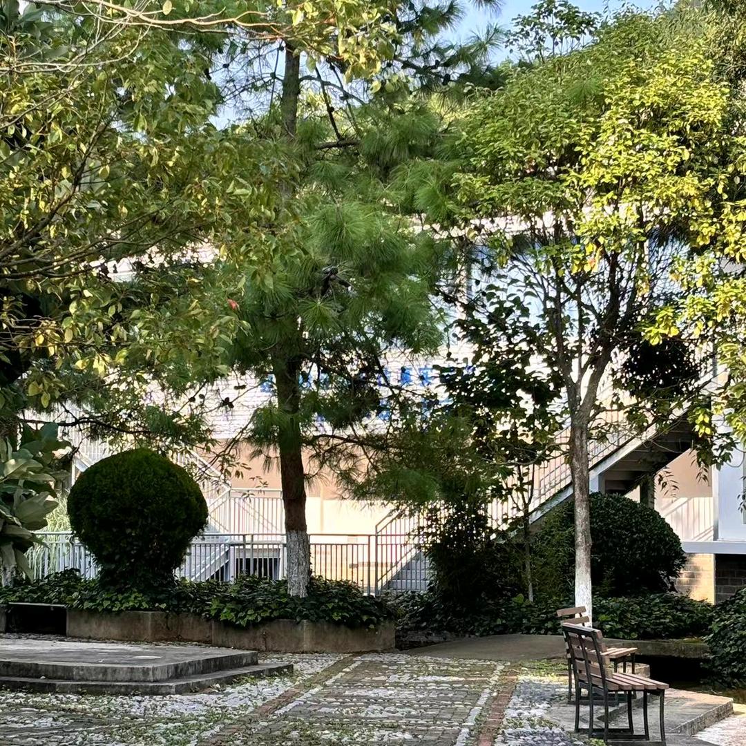 桔子🍊糖🍬🍬