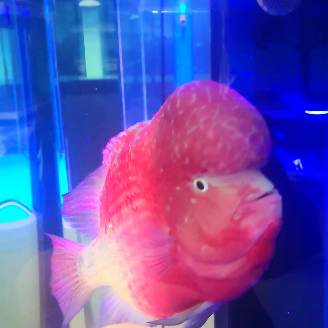 乙eb，笑看人生