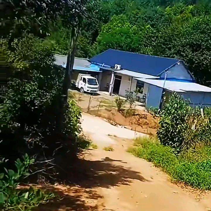 沉默