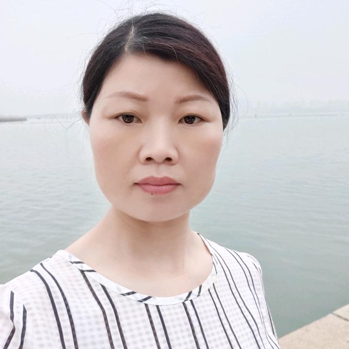 金贝2