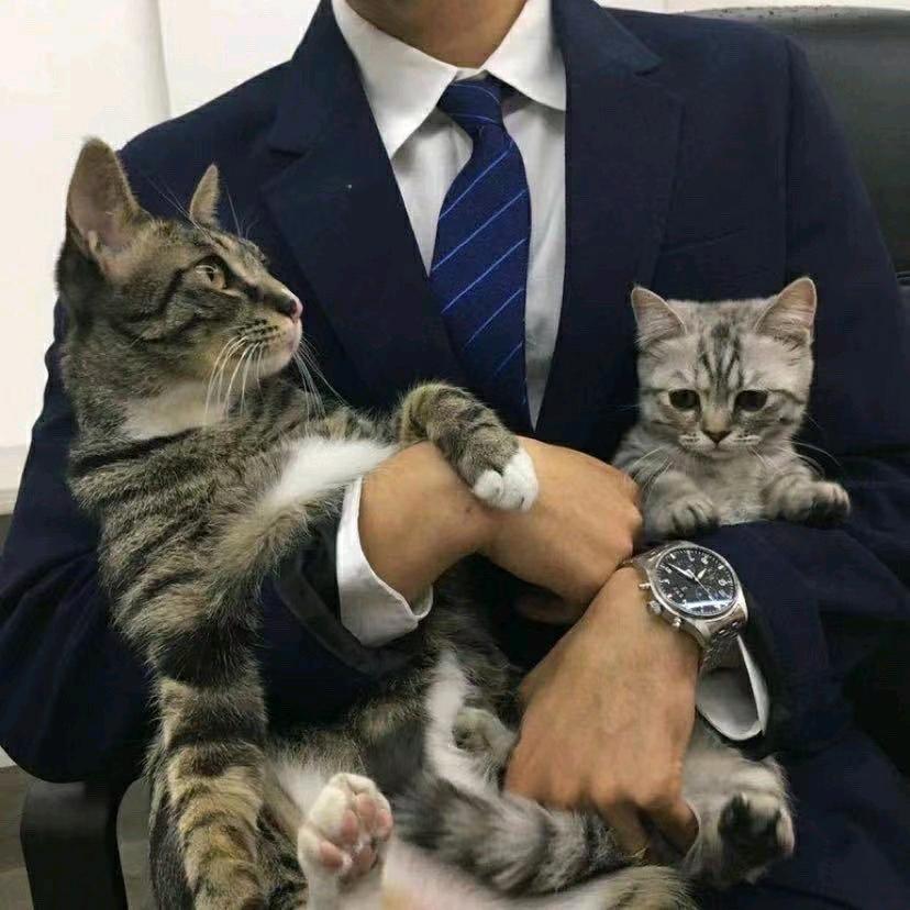 私域法叔