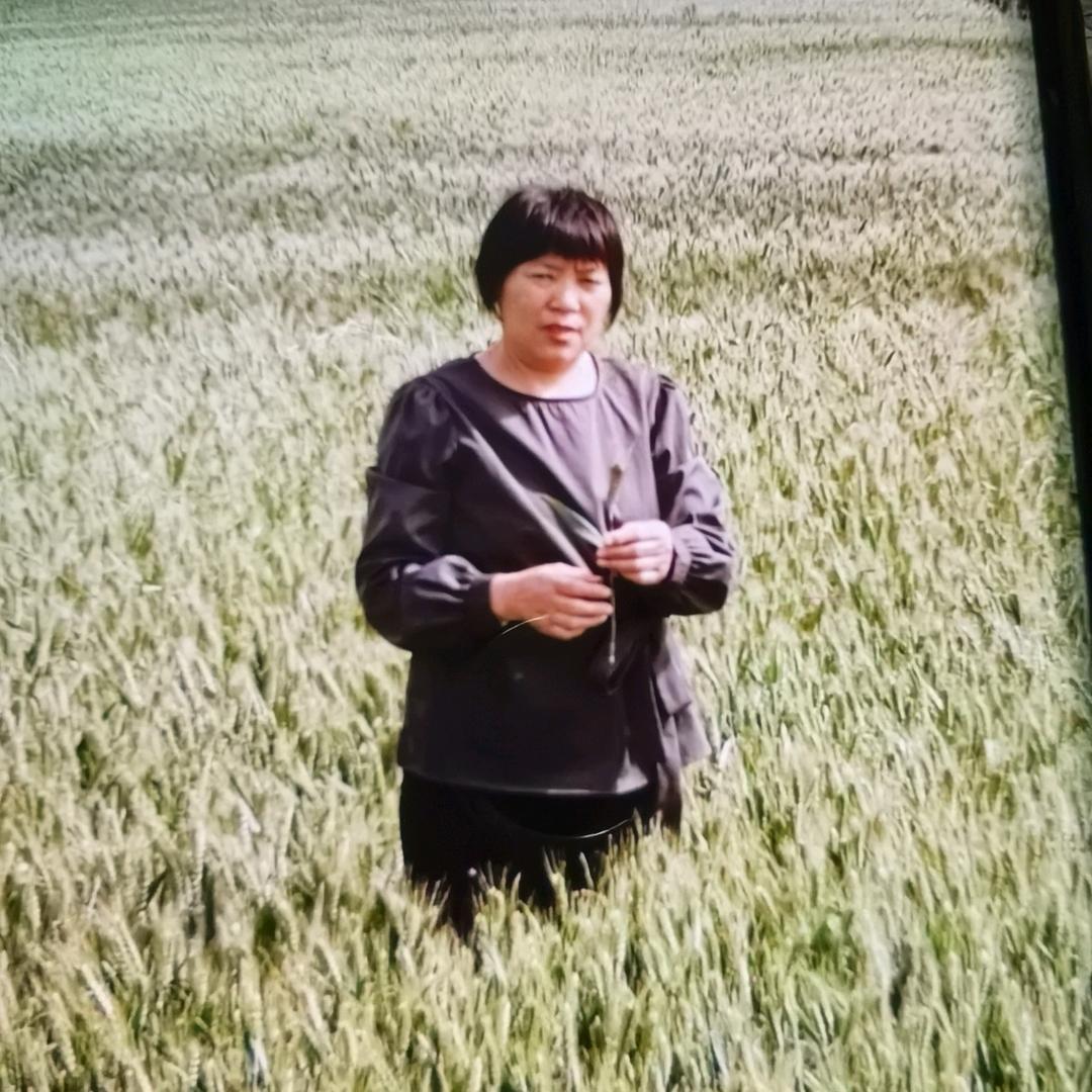 山河农资，话农业