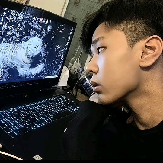 杨 林