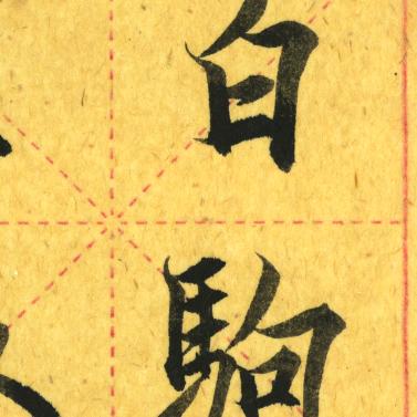 一夜鱼龙舞