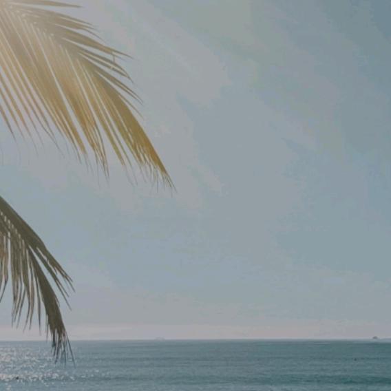 𓀚𓀚𓀚鹿𓀚𓀚𓀚