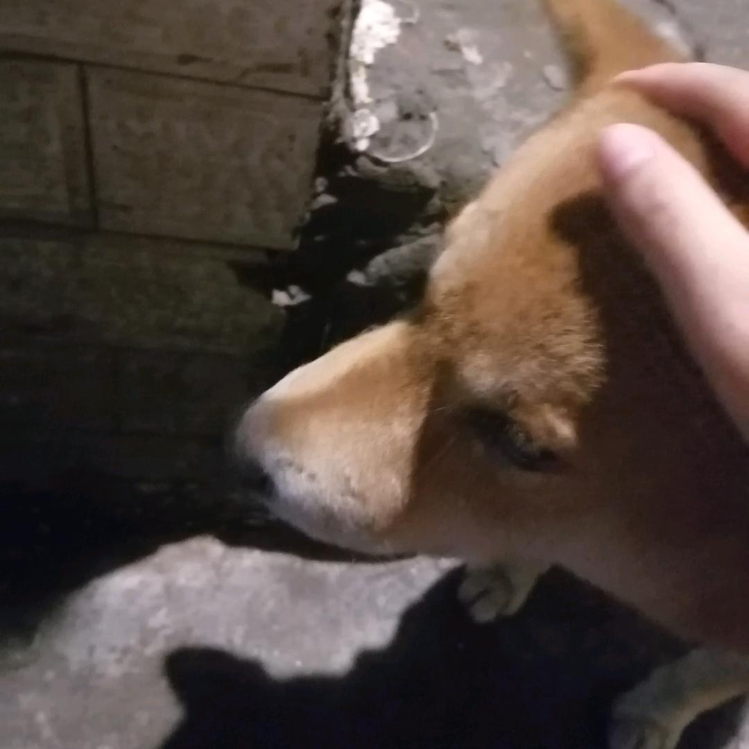 异乡人