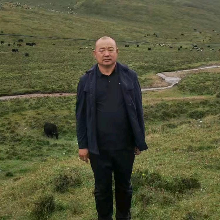 卫浴张建平
