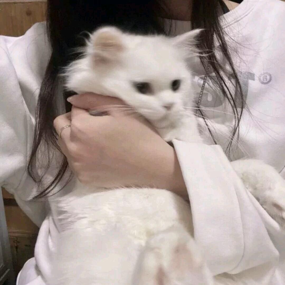 ઇ  仙💮玺ଓ