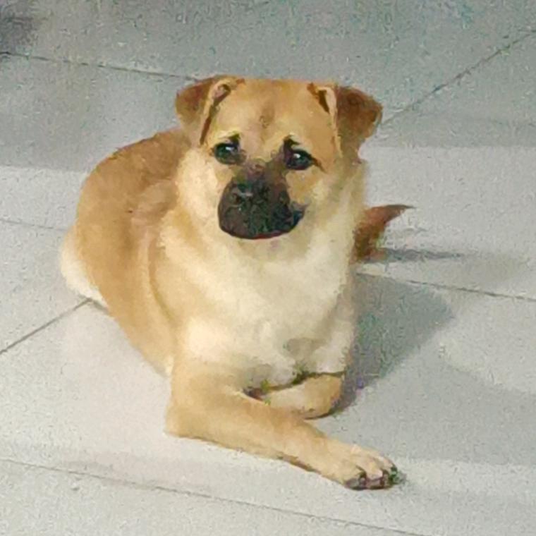 自立