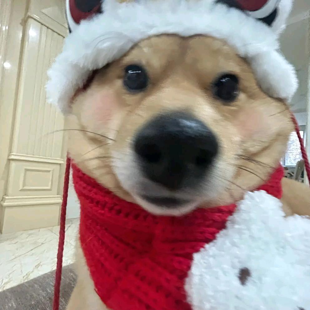 LOL✌🏻go（世界第一亚恒）