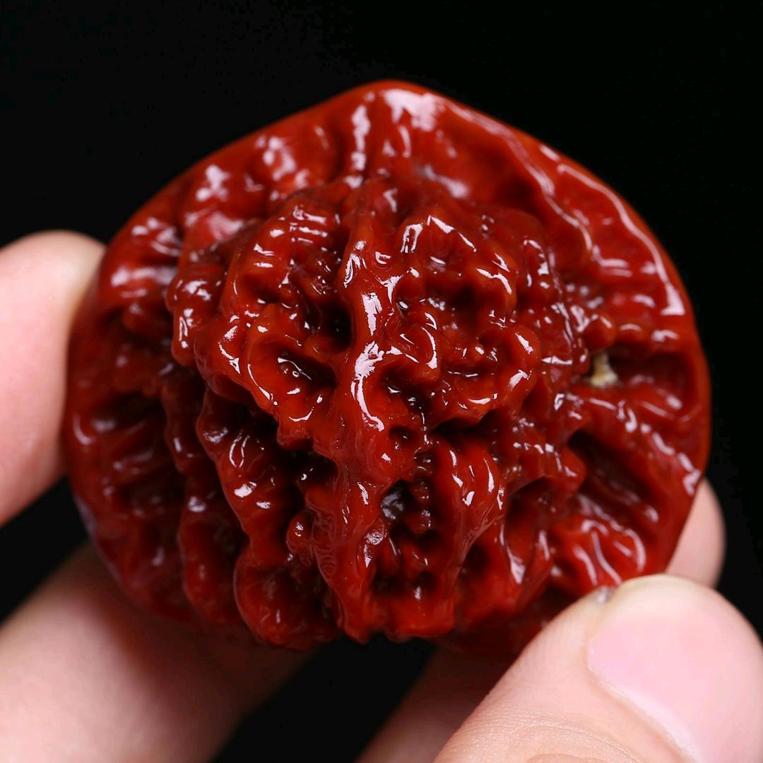核林轩