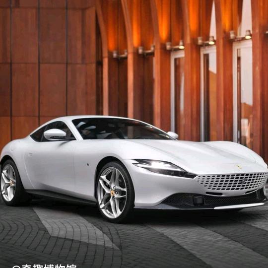 梧桐秋菊（飞））