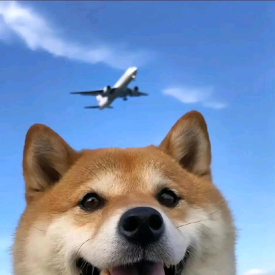 听歌