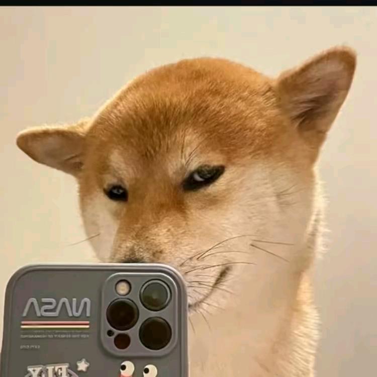 北*笙