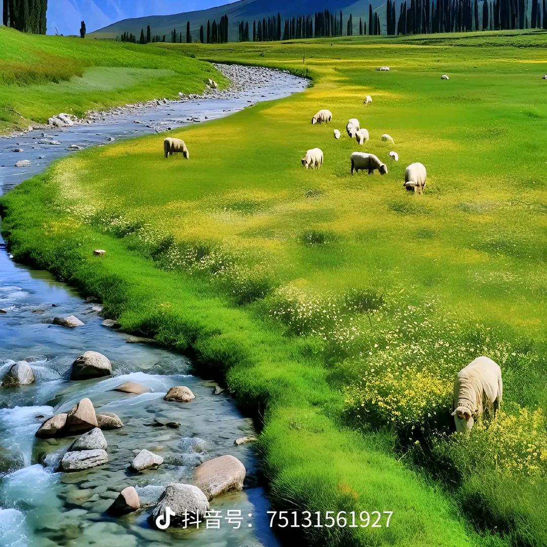 小颖休闲运动优选