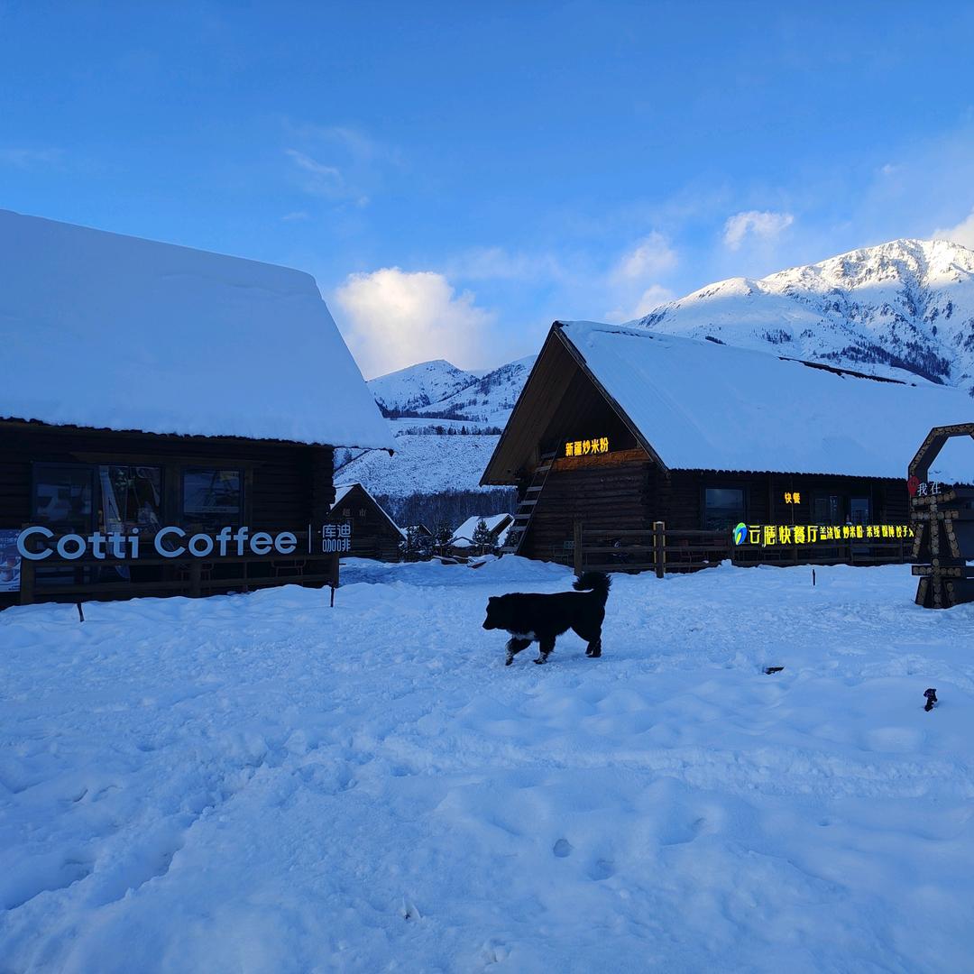 有德才有得❤️🍀🎋🍃🌱🌲🌴