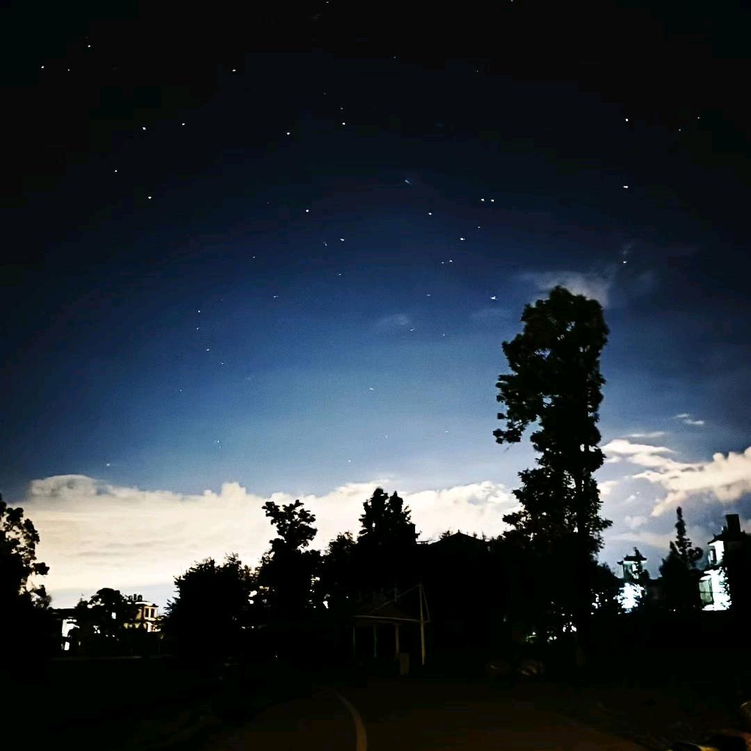 一只小锦“李”