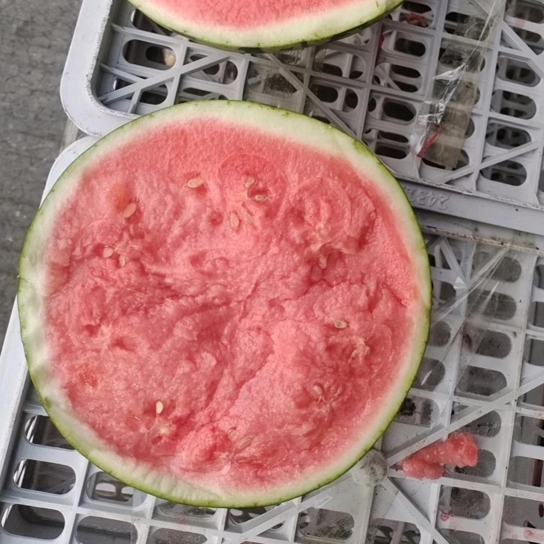 代卖专业批发西瓜