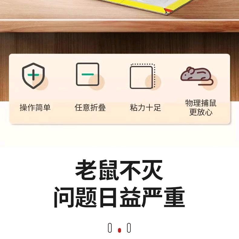 专干老鼠🐀🐀🐀