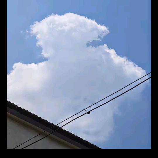 猛踹领导大胯