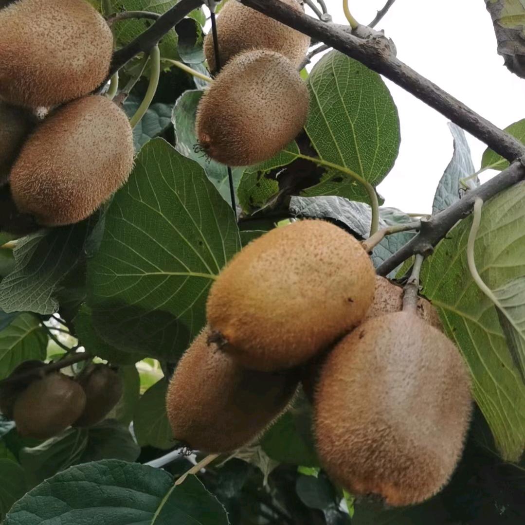 用户9098934219502善解人意