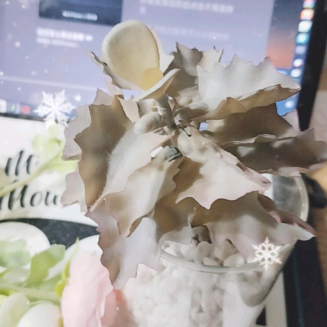 丹参川芎葛根打通血管