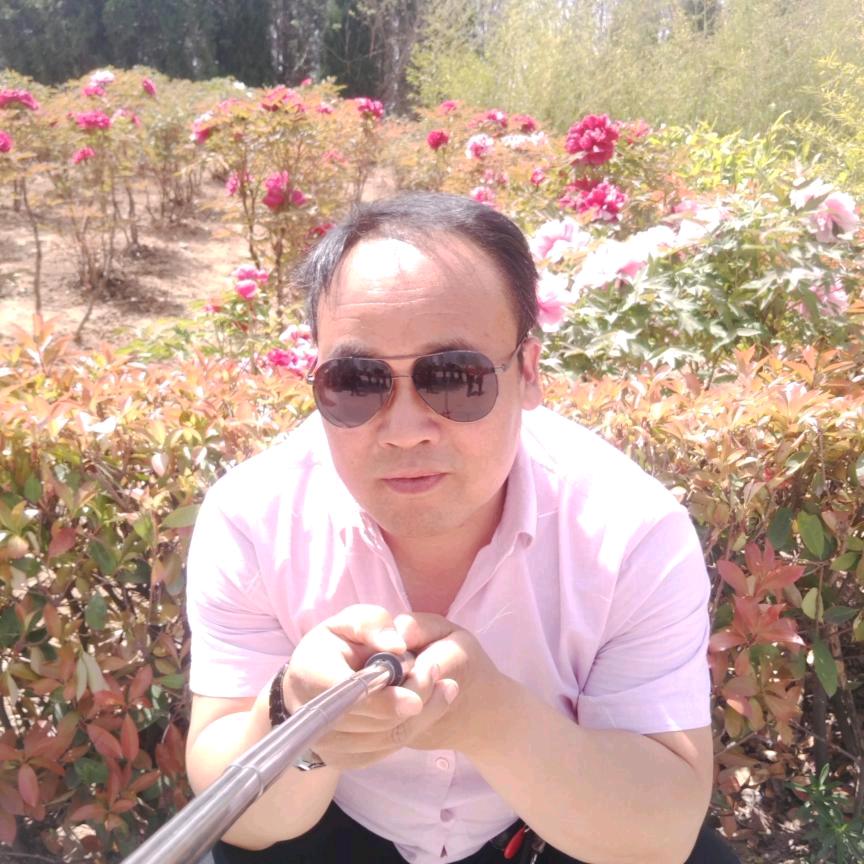 温暖的心