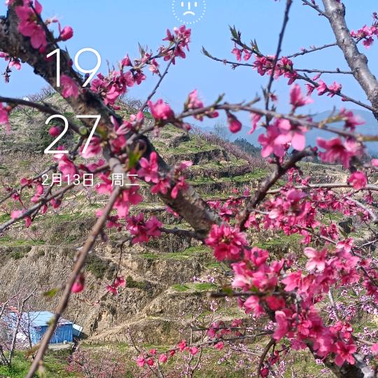 🐁🐁🐁🐁👩‍❤️‍👩