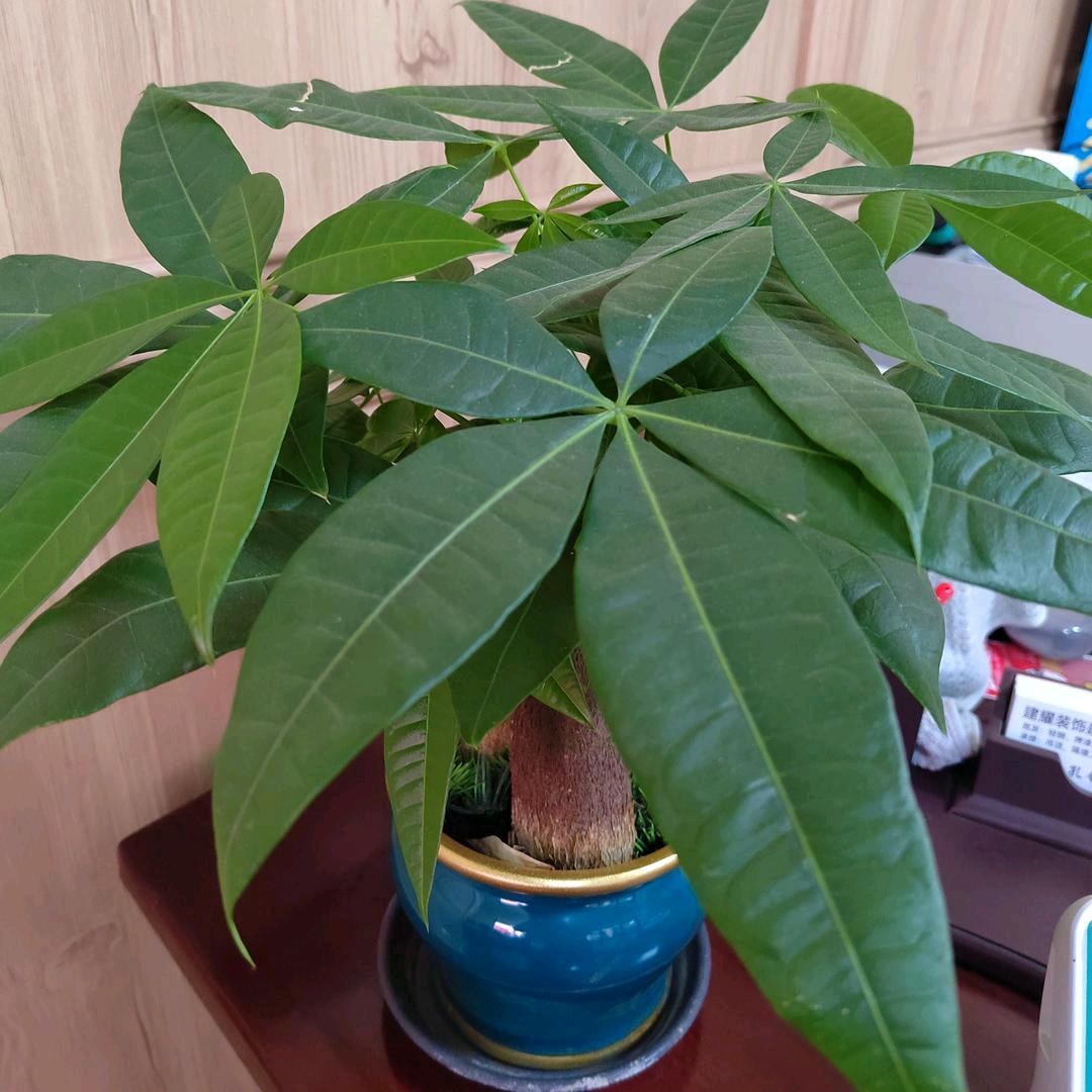 坐拥百态