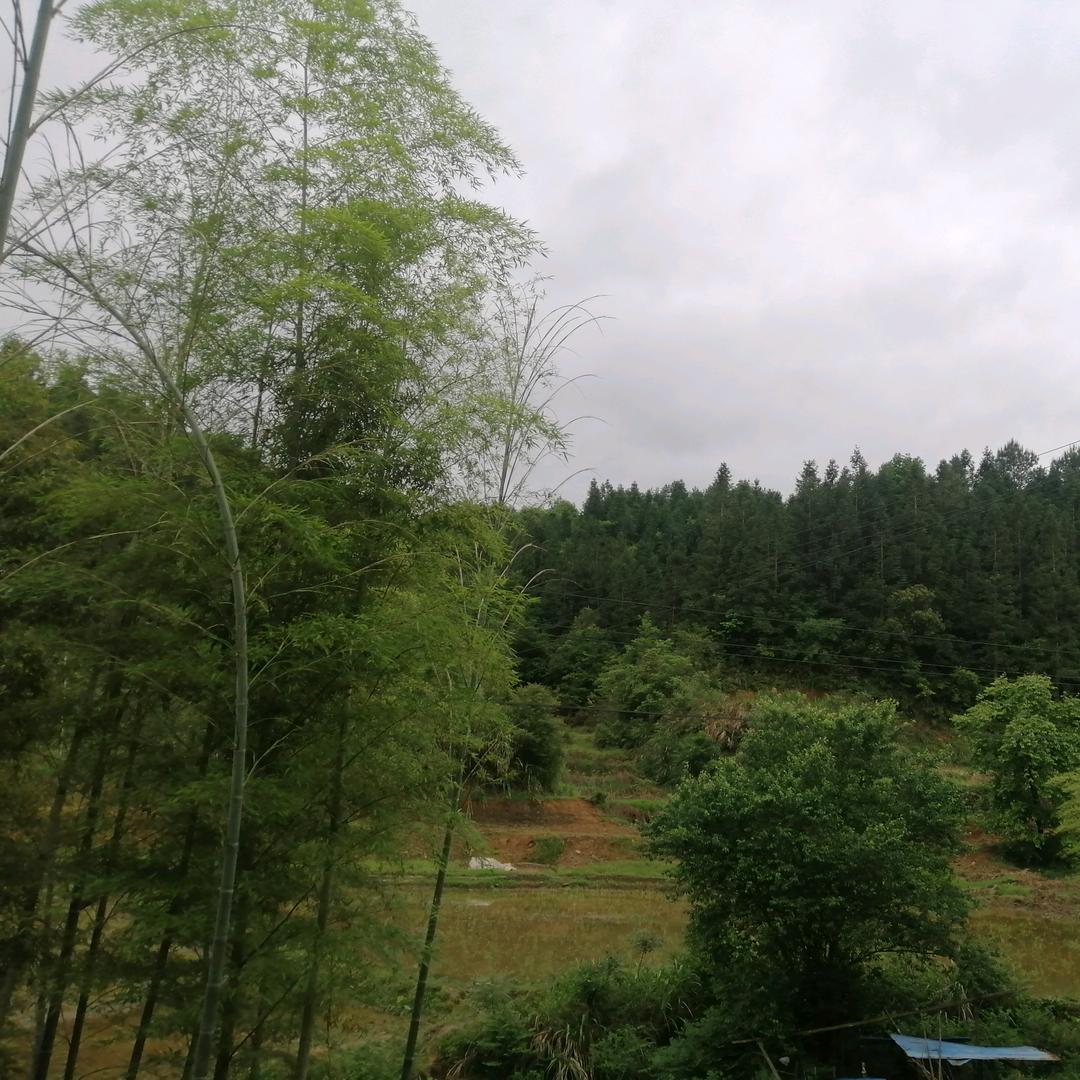 一个达不溜溜溜溜